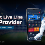 Cricket Live Line API Provider- API for Real Time Score & Stats