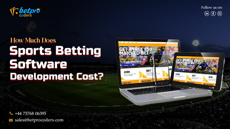 How Much Does Sports Betting Software Development Cost?