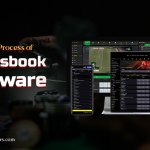 Explore the Process of Sportsbook Software Development