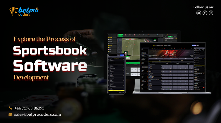 Explore the Process of Sportsbook Software Development
