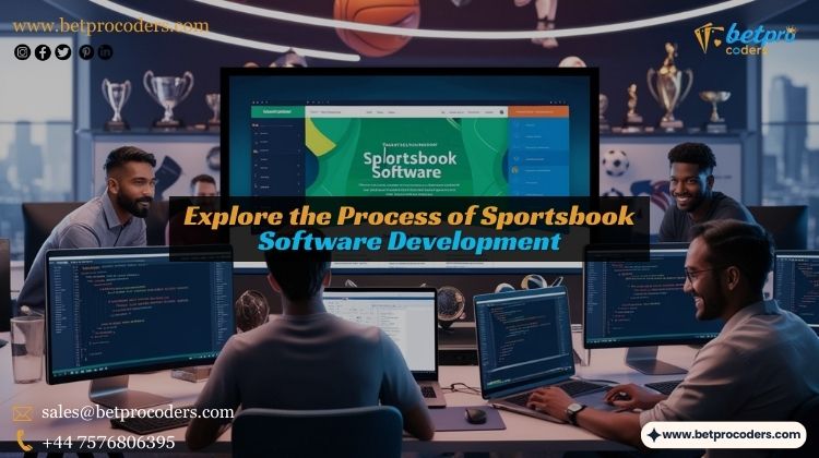 Process of Sportsbook Software Development