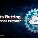 Top Sports Betting API Service Provider in 2025