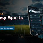 Build your Own Fantasy Sports App - Dream11 Clone App Development