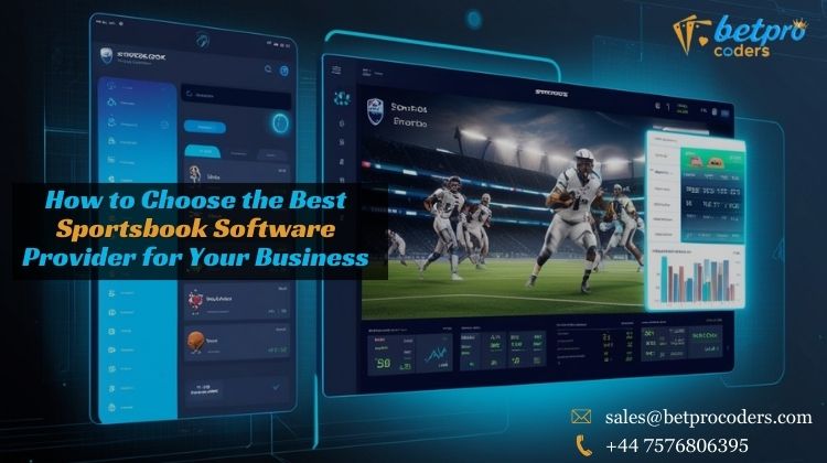 Sportsbook Software Provider: How to Choose the Best