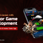 How to Earn Money with Aviator Game Development: Revenue Model of Aviator Game App