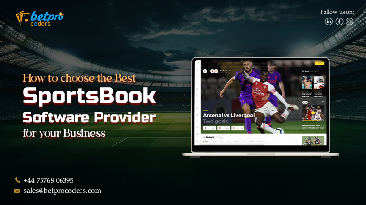 Sportsbook Software Provider