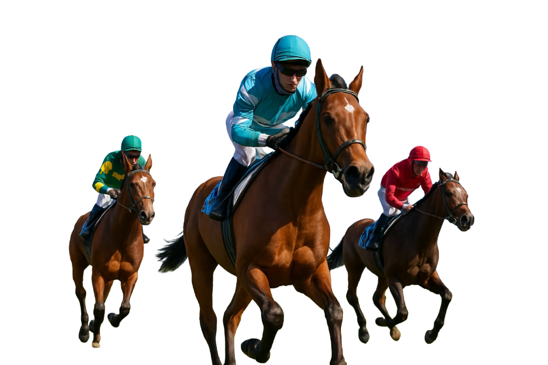 Hire Horse Racing API Experts
