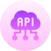 API Integration