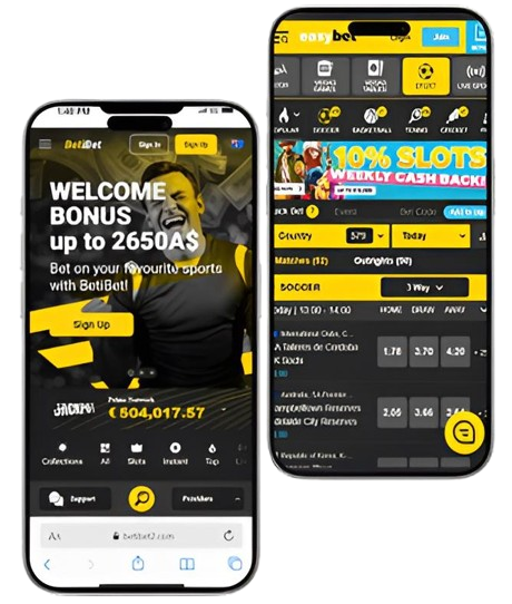 Best Sportsbook Software Development Company